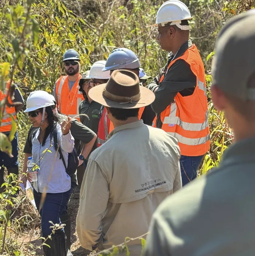 Equipe em monitoramento florestal