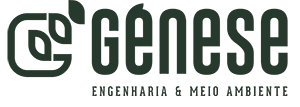 Gênese Ambiental