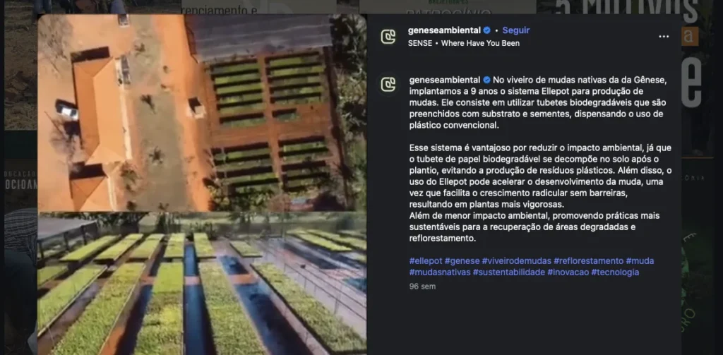 Viveiro amplia produção de mudas nativas com o sistema Ellepot